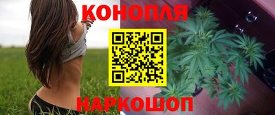 стаф Лесосибирск