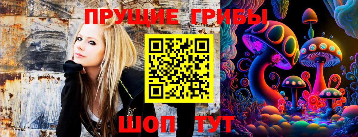 Псилоцибиновые грибы прущие грибы Тихвин
